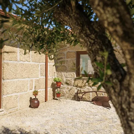 Casa De Belmonte Castelo de Paiva