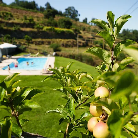Casa De Belmonte Casa de Férias Castelo de Paiva