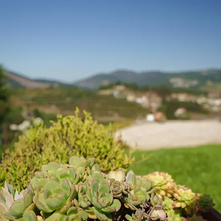 Дом отдыха Casa De Belmonte