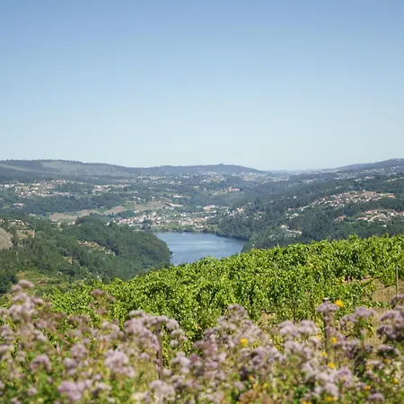 Casa De Belmonte Дом отдыха Каштелу-ди-Пайва