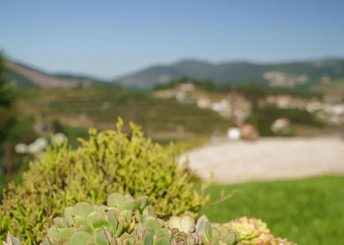 度假居 Casa De Belmonte